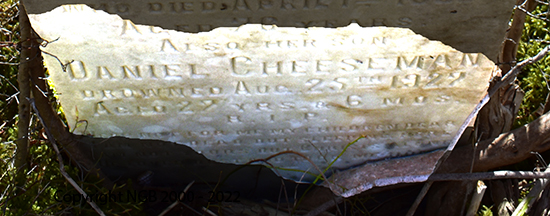 Bridget & Daniel Cheeseman