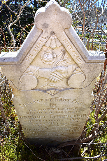 Bridget & Daniel Cheeseman