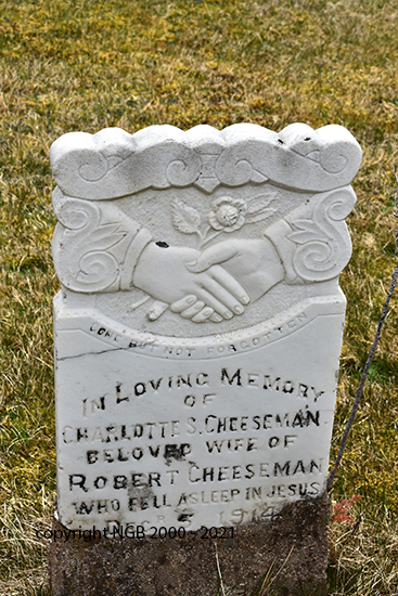 Charlotte S. Cheeseman