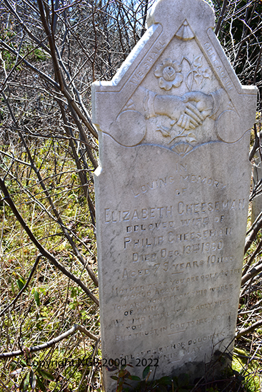 Elizabeth Cheeseman