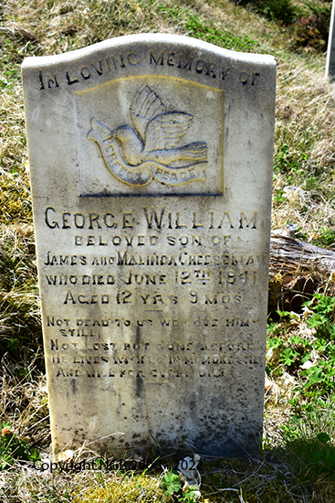George William Cheeseman