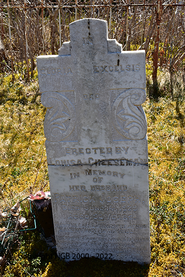 Patrick Joseph Cheeseman