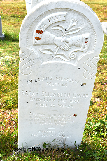 Sarah Elizabeth <br>Chipp