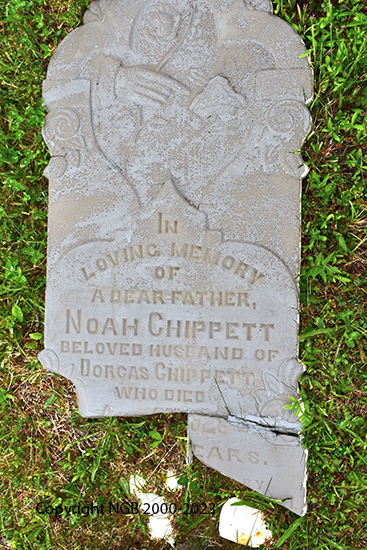 Noah Chippett