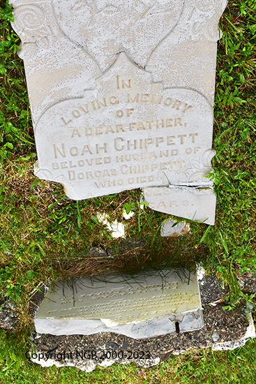 Noah Chippett