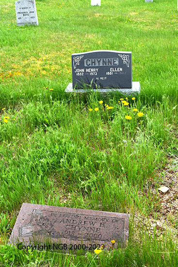 John Henry & Andrew Chynne