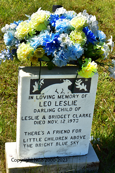 Leo Leslie Clarke