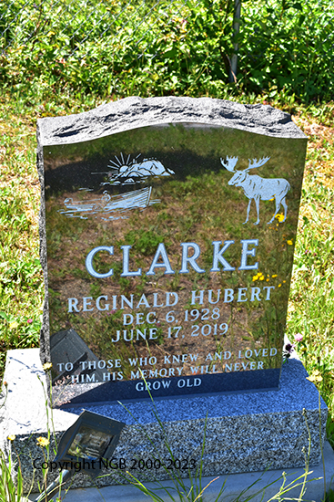 Reginald Hubert Clarke