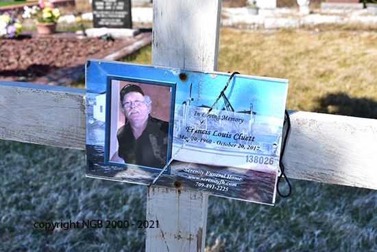 Francis Louis Cluett