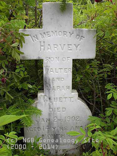 Harvey Cluett