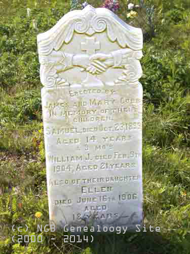 Samuel, William J and Ellen COBB