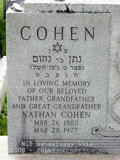 Nathan Cohen
