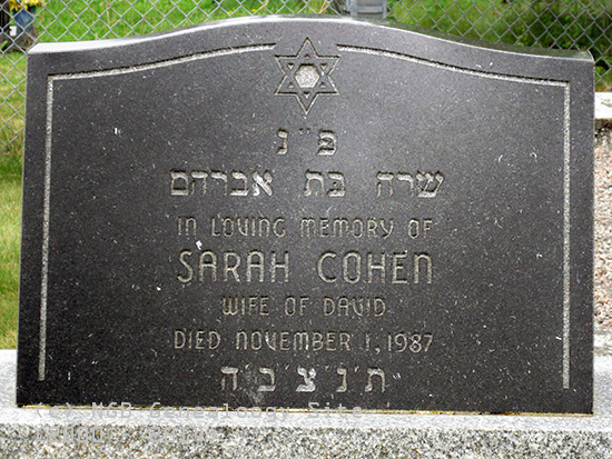 Sarah Cohen