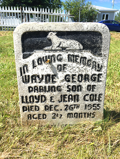 Wayne George Cole