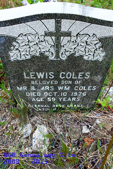 Lewis Coles