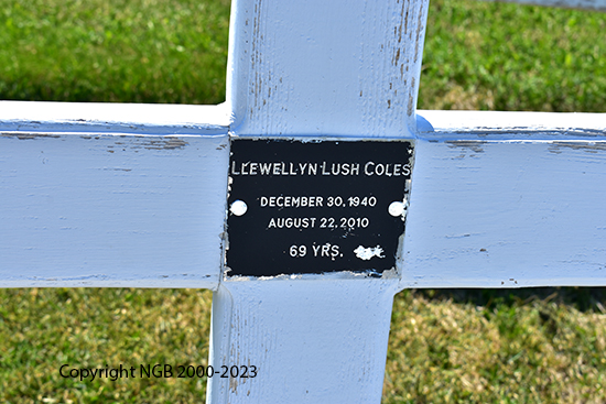 Llewellyn Lush Coles