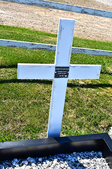 Llewellyn Lush Coles