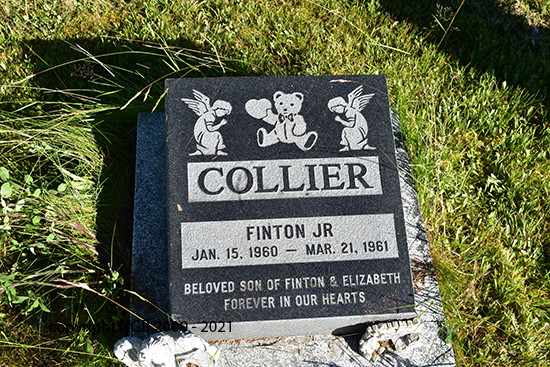 Fenton Collier Jr.