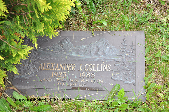 Alexander J. Collins