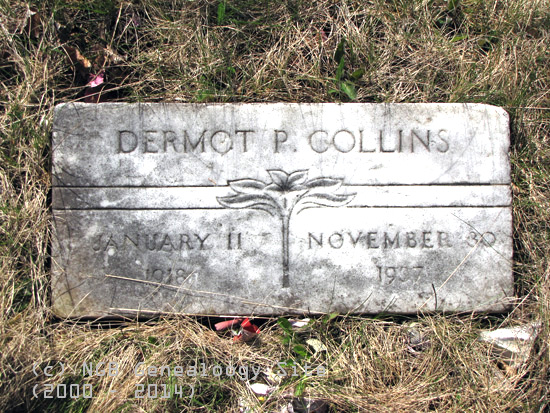 Dermot Collins