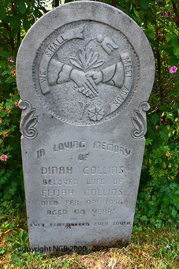 Dinah Collins