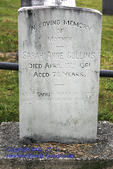 Sarah Anne Collins