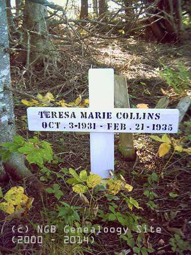 Teresa Marie Collins