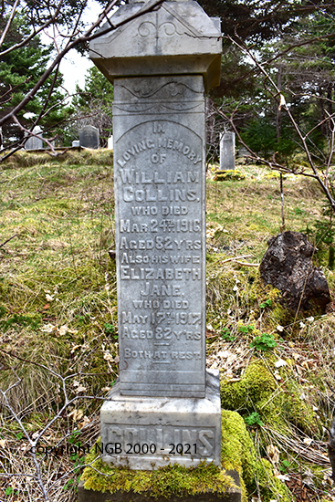 William & Elizabeth Jane Collins