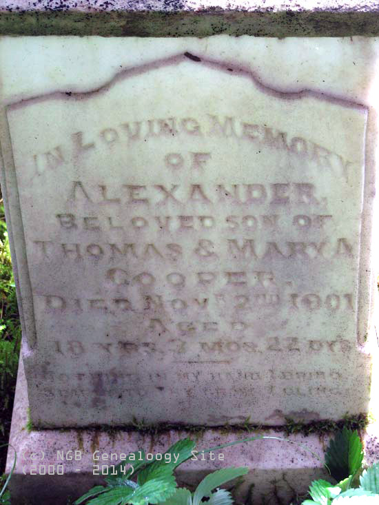ALEXANDER COOPER