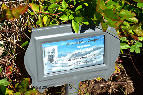 Ruleeph John & Celia Tryphenia Cooper