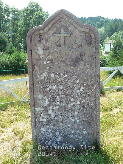 Vincent, Johanna & May Ann Costigan