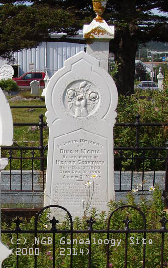 Dinah Maria Courtney