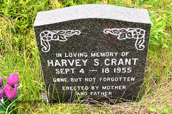 Harvey S. Crant