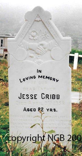 Jessie Cribb