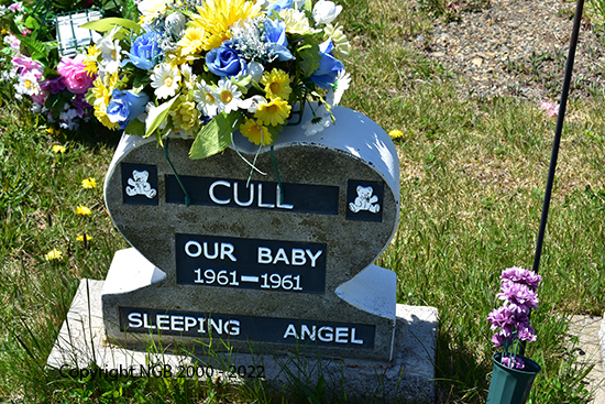 Baby Cull