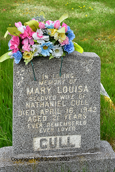 Mary Louisa Cull