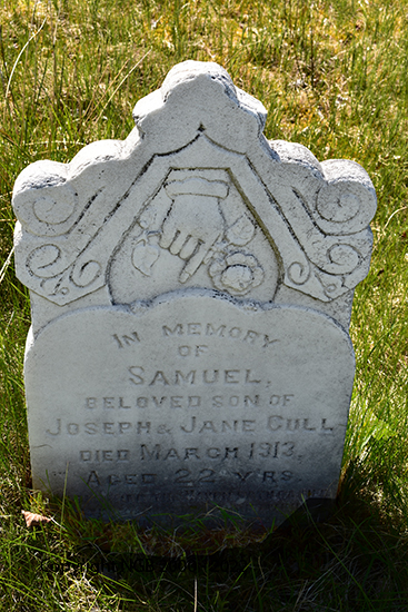 Samuel Dove