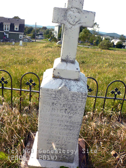 James and Ann Culleton