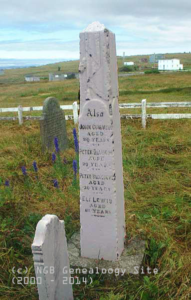 John Cummins, Peter Diamond, Peter Snelgrove and Eli Lewis