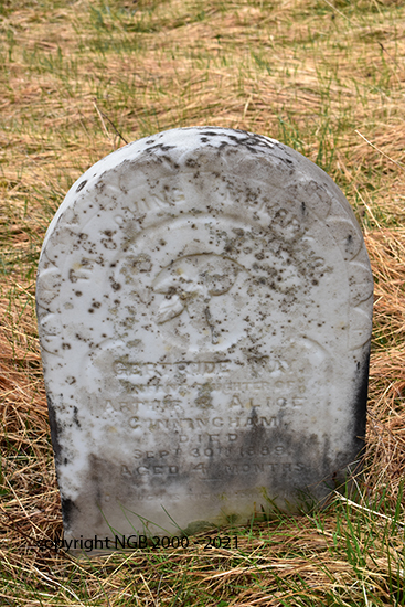 Martha Alice Cunningham