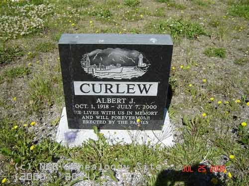 Albert J. Curlew