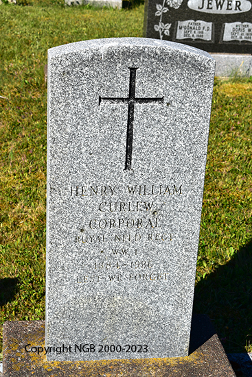 Henry William Curlew