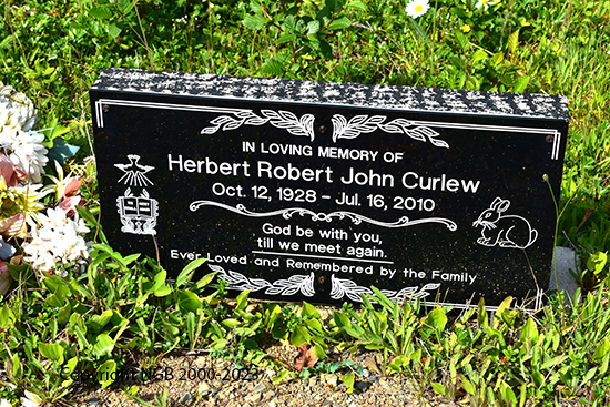 Herbert Robrt John curlew