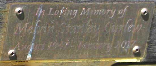 Melvin Stanley Curlew