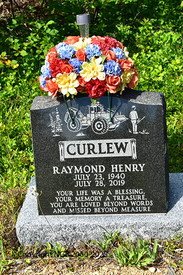 Raymond Henry Curlew