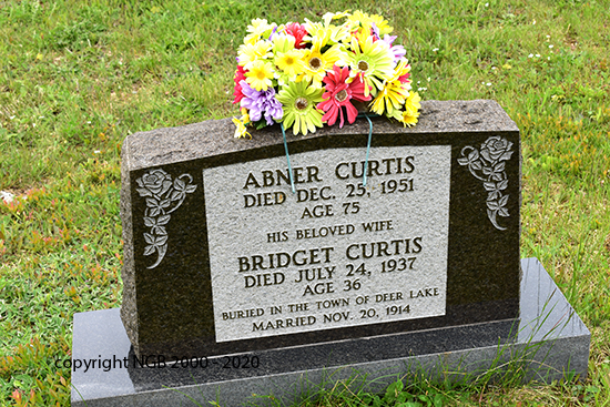 Abner & Bridget Curtis