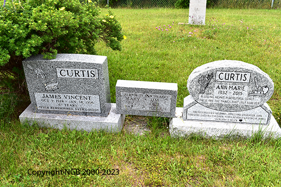 James Vincent Curtis