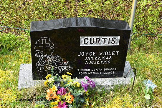 Joyce Violet Curtis