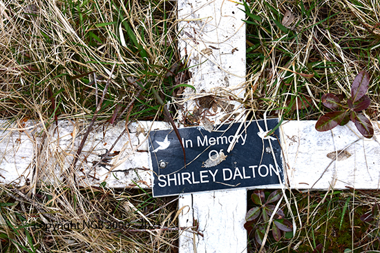 Shirley Dalton