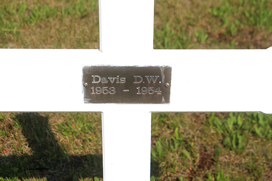 D. W. Davis